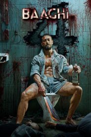 Baaghi 4 (2025) Full HD [Hindi] WEB-DL 720p,1080p | GDRive